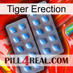 Tiger Erection viagra4